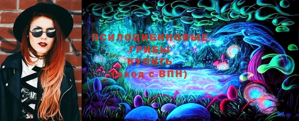 прущие крисы Абаза