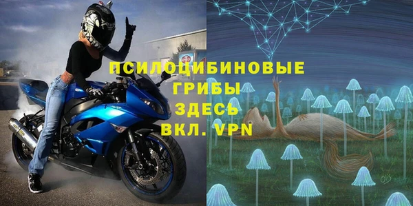 прущие крисы Абаза