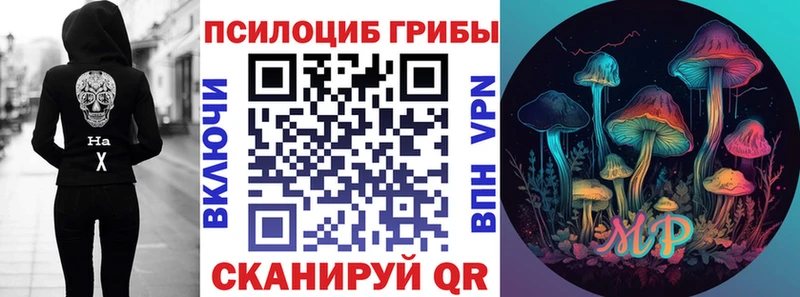 MEGA ТОР  Холмск  Псилоцибиновые грибы Psilocybe 